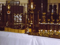 awards-1981-3